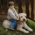 手绘肖像油画品质展示#75-男童与爱犬