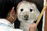 大一油画肖像画师 4